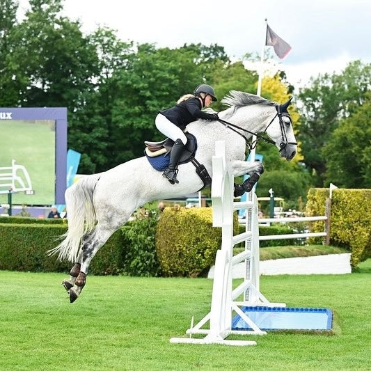 Silhouette Full Seat Breeches